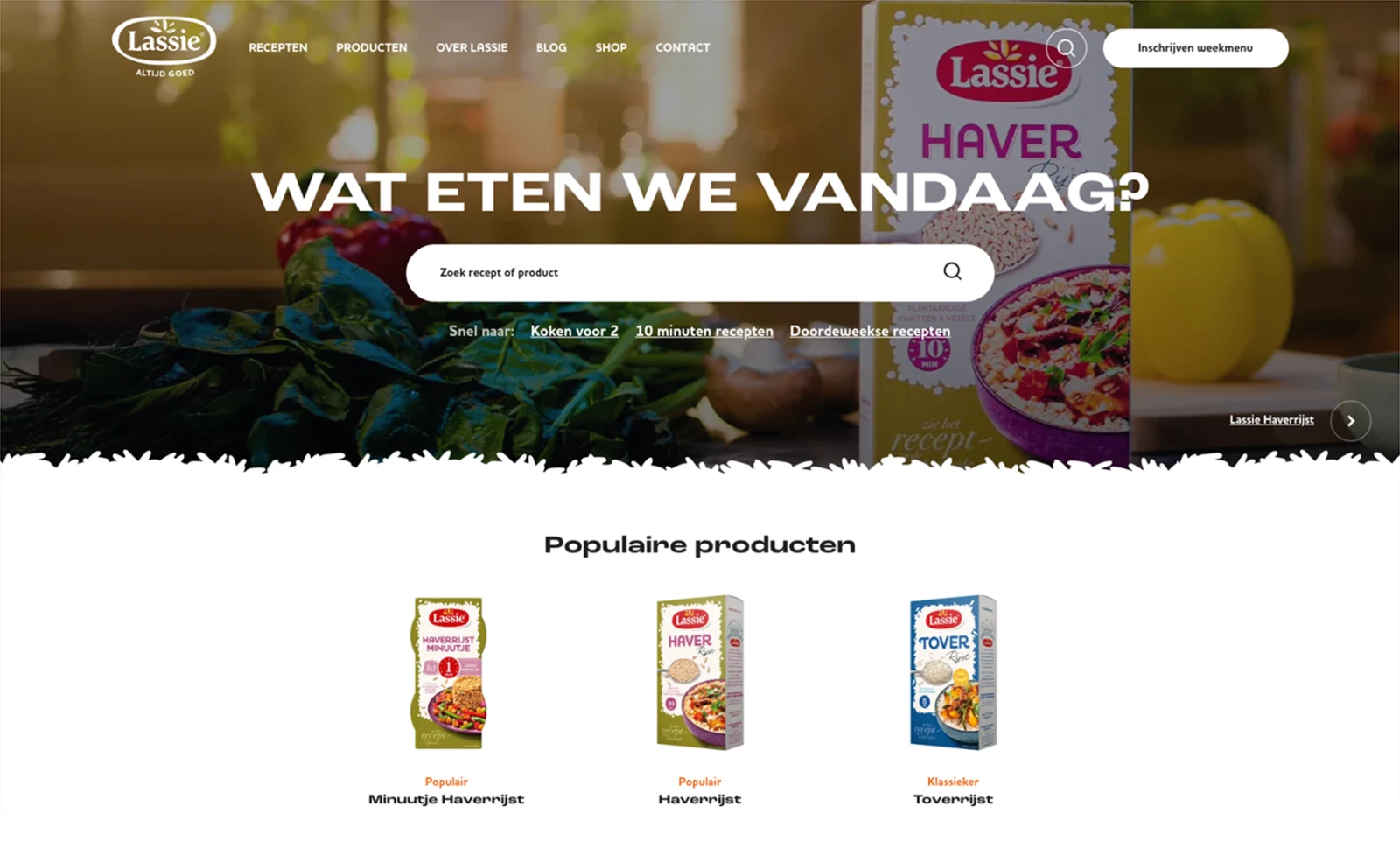 Craft CMS website Lassie