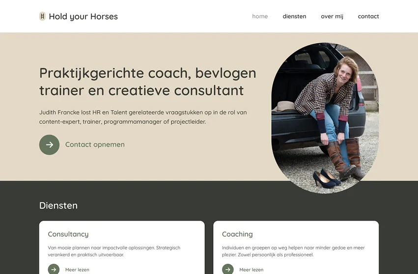 Website Hold Your Horses